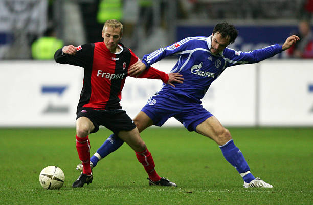 他有望与利 他有望与利